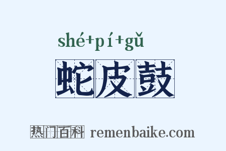 蛇皮鼓是什么意思的图片